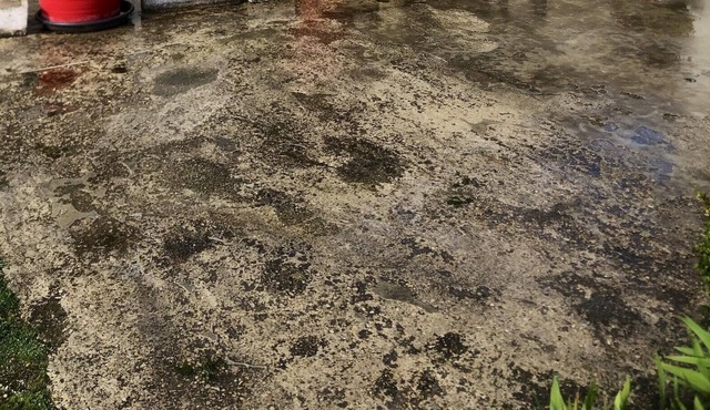 Homerez - House for 6 ppl. with garden and terrace at Bergères-lès-Vertus