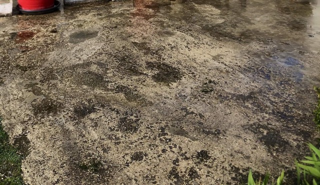 Homerez - House for 6 ppl. with garden and terrace at Bergères-lès-Vertus