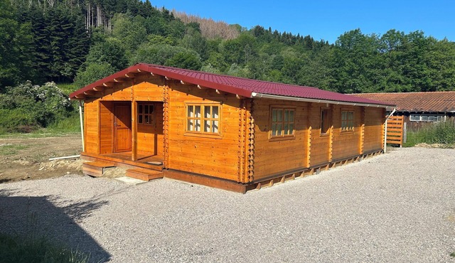 Homerez - House in Fougax-et-Barrineuf with garden