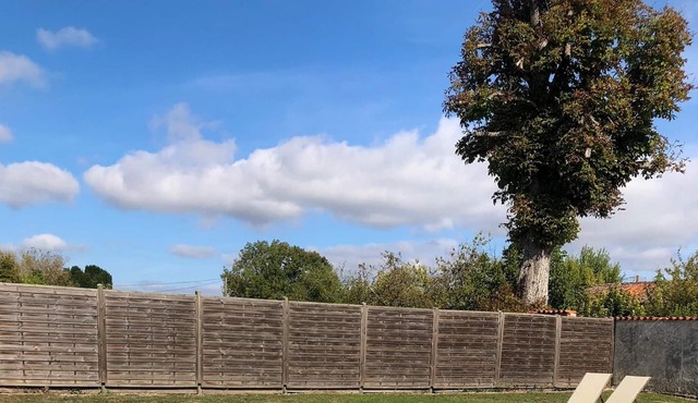 Homerez - House for 4 pers. with shared pool in Saint-Palais-du-Né