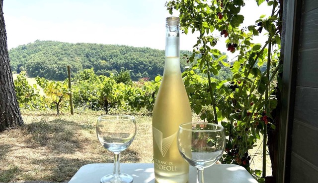 Homerez - House for 2 ppl. with shared pool and terrace at Lignairolles