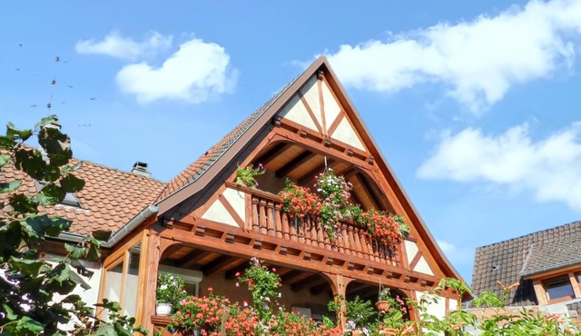 Homerez - House in Triembach-au-Val