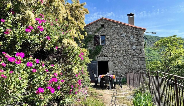 Homerez - House in Valleraugue, pool.