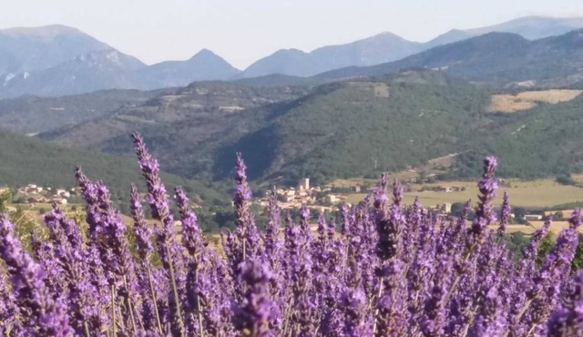 Homerez - House in Sainte-Jalle