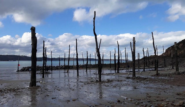Homerez - House Plehedel with garden