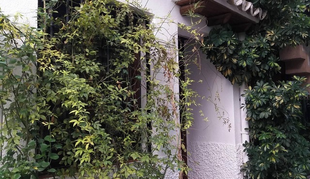 Homerez - Large house in Quesada