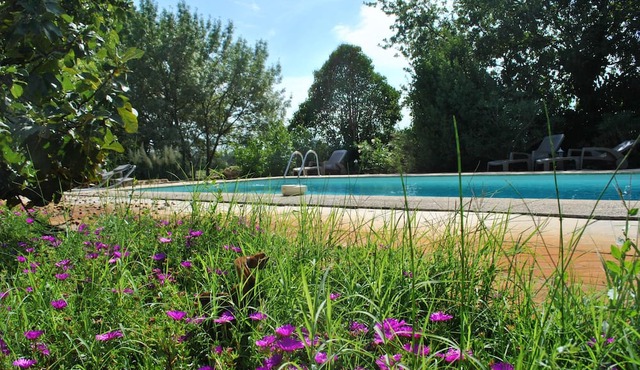 Homerez - Luxury Villa with Private Pool in Piolenc