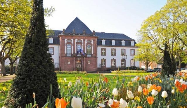 Homerez - Nice apartement for 2 ppl. with terrace at Haguenau