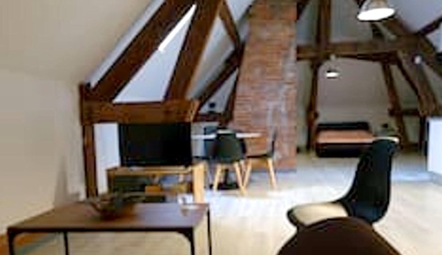 Homerez - Nice appartement for 3 ppl. at Beaugency