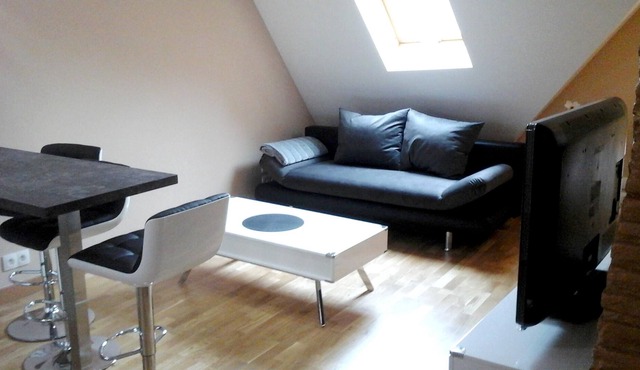 Homerez - Nice appartement for 3 ppl. at Auxonne