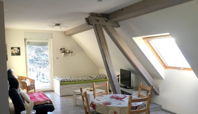 Homerez - Nice appartement for 4 ppl. at Lohr