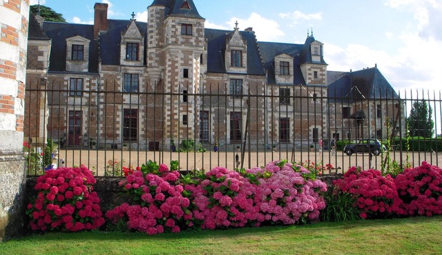 Homerez - Nice appartement for 6 ppl. with shared pool at Vernou-sur-Brenne