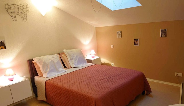 Homerez - Nice studio for 2 ppl. with shared pool and garden at Duravel