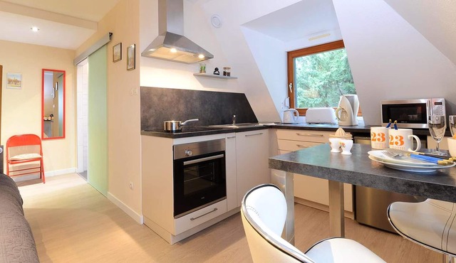 Homerez - Nice studio for 2 ppl. at Ribeauville