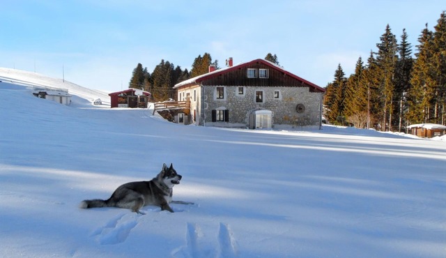 Homerez - Secluded quiet house in Septmoncel with mountain view