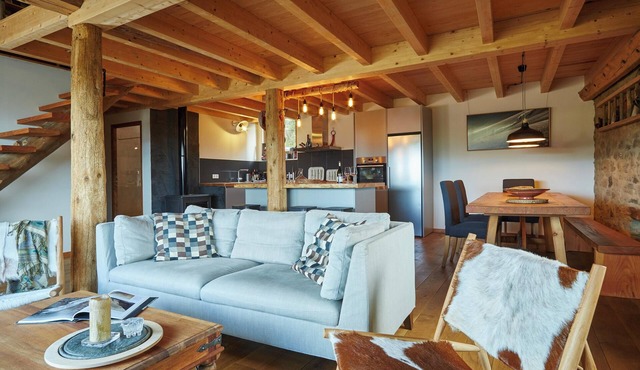 Homerez - Spacious house, La Llagonne, mountain view