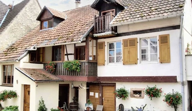 Homerez - Spacious house in Ingersheim with mountain view
