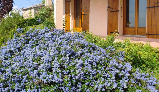 Homerez - Spacious house for 6 ppl. with garden and terrace at Planzolles