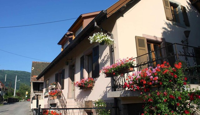 Homerez - Spacious house for 7 ppl. with terrace at Wuenheim