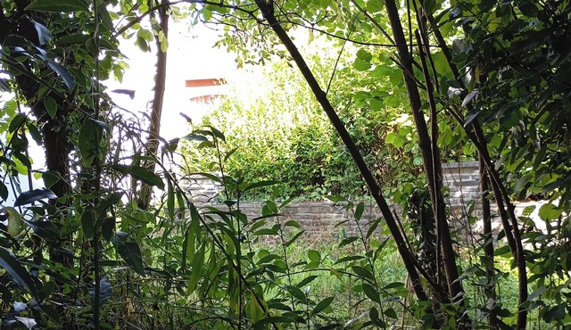 Homerez - Spacious house in Renazé with terrace