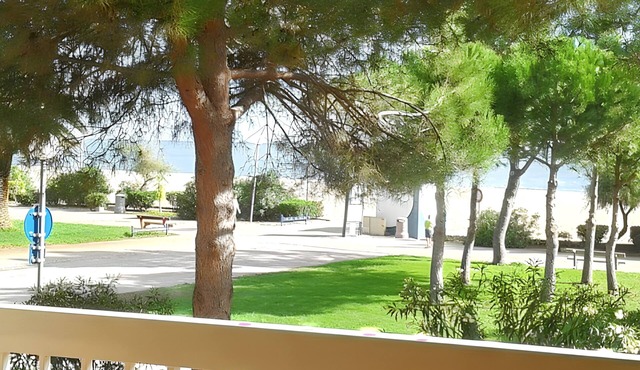 Homerez - Studio in Argelès-sur-Mer, sea view