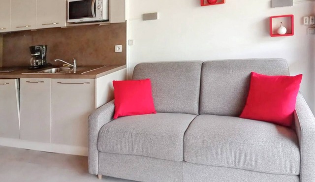 Homerez - Studio in Les Carroz, mountain view.