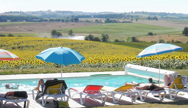 Homerez - Studio Pauilhac - Shared Pool