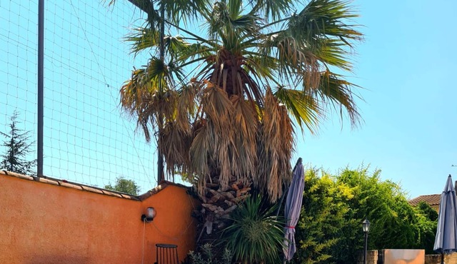 Homerez - Villa for 6 ppl. with swimming-pool and garden at Marguerittes