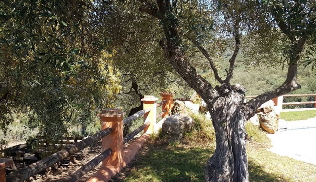 Homerez - Villa Puerto Serrano