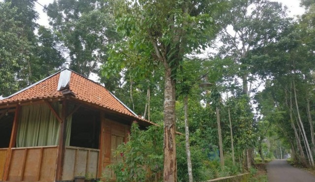 Homestay An-Nur - Hostel