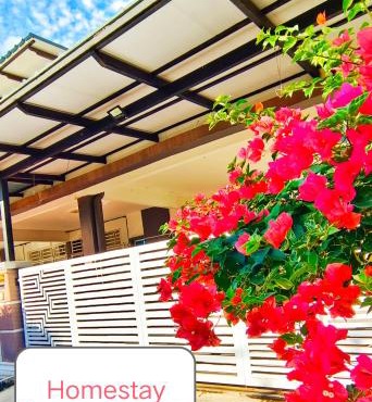 Homestay Bunga Kertas Jitra