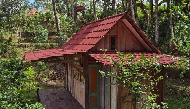 Homestay Ijen Lemonhouse