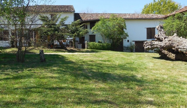Homestay in an old farmhouse in the countryside