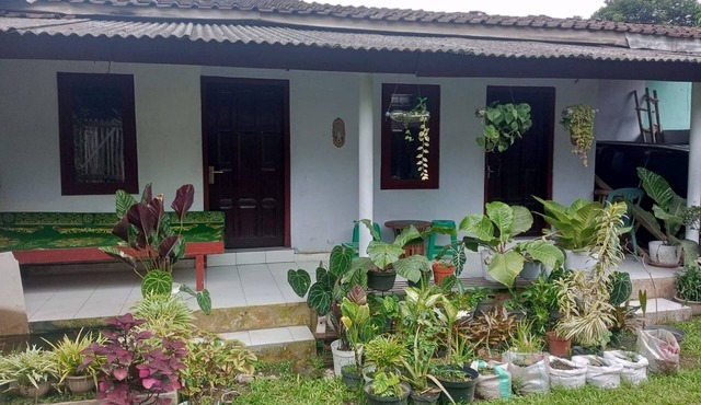 Homestay Wijaya Mulya