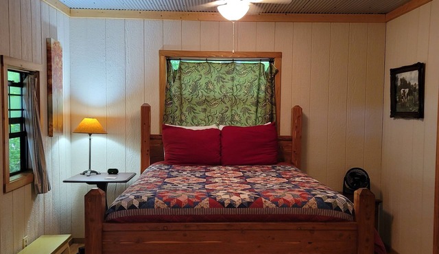 Homestead Cabin in the Ozarks, w/a view!