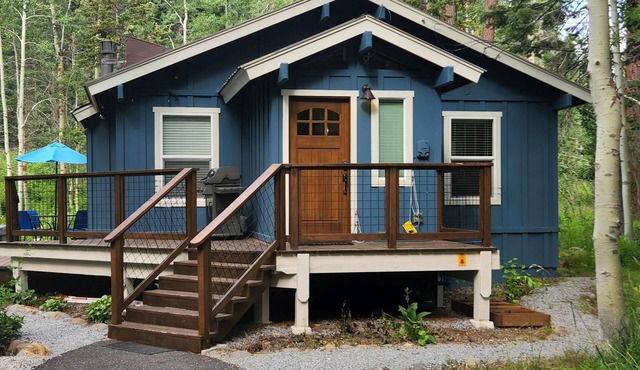 Homewood Cabin Among the Pines with private hot tub - dog-friendly
