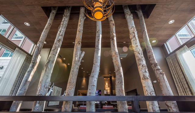 Homewood Suites by Hilton Charlotte Ballantyne, NC
