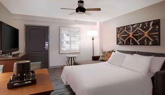 Homey & Convenient Suite! Free Airport Transfer