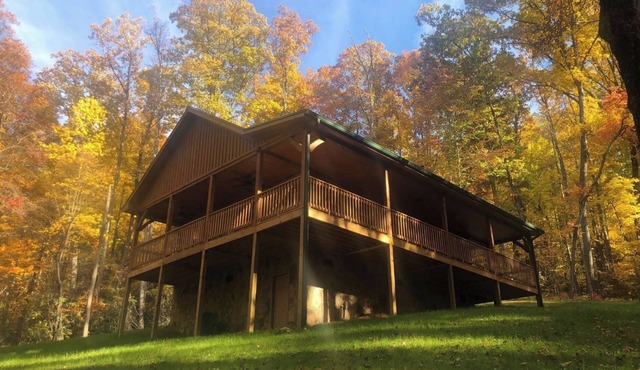 Homey Cozy Dog Friendly Cabin Surrounded By Beautiful Mountain Trees w/Hot Tub+