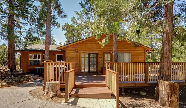 Homey, dog-friendly cabin w/ large deck surrounded by forests