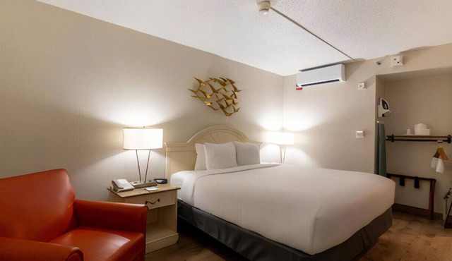 Homey King Bed w/ Thick Mattress Roll-in Shower