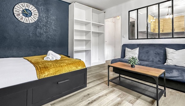 Homey Velvet - Near tram and Geneva/Free Netflix