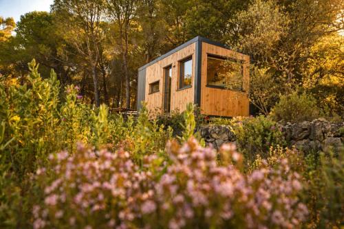 Homnest - Melodie Provencale - en Sainte-Baume