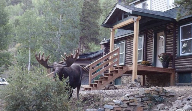 Honey Bear Creek Artists Mountain Retreat