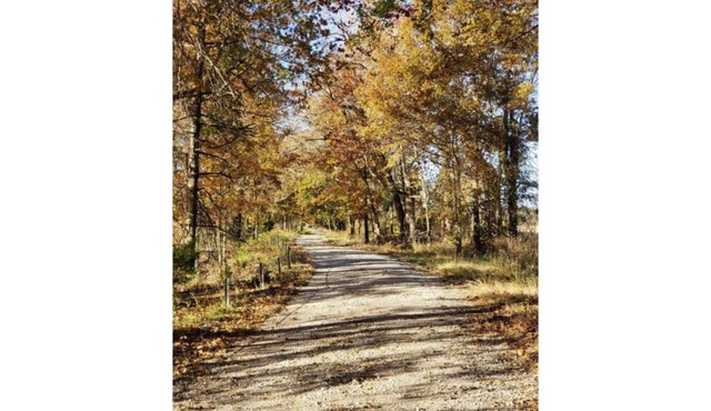 Honey Creek Hideaway at Back Country Camp