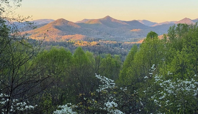 Honey Lodge, Mtn View, Master Main, Dogs Welcome