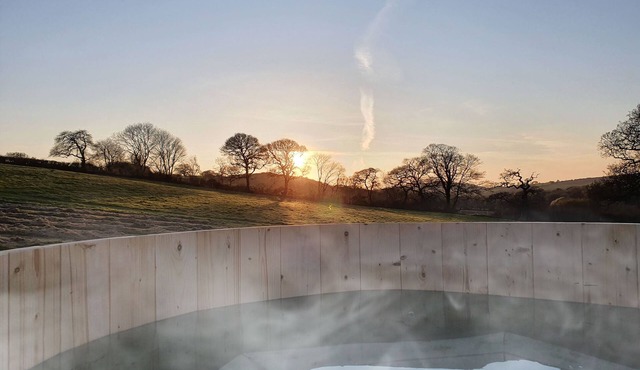 HONEY @ STARS & EMBERS GLAMPING, pet friendly in Grampound