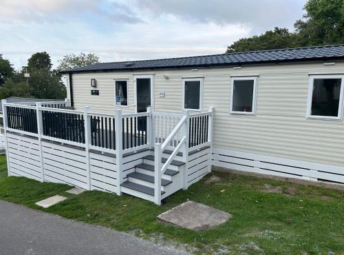 HoneyBees At Glade 17