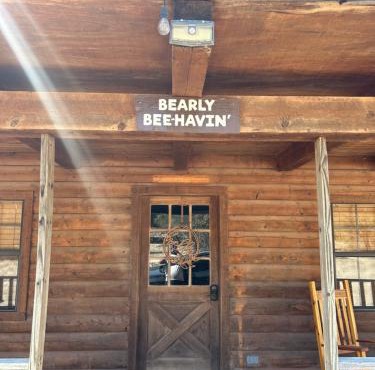 HoneyComb Hideouts Bearly BeeHavin cabin