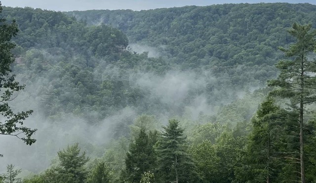 Honeydew Cabin - Romantic, Sauna, Views, Hot Tub